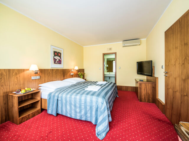 Pokoj Premiere Suite